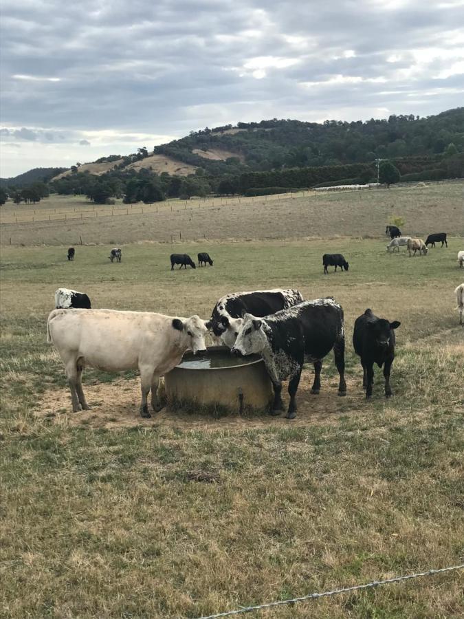 The Yarra Valley Couple Escape Yarra Glen Ngoại thất bức ảnh